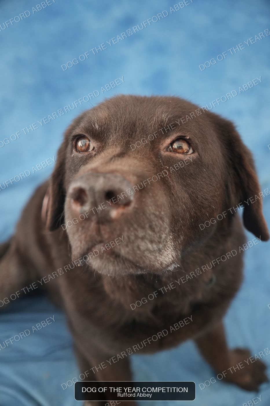 Jasper