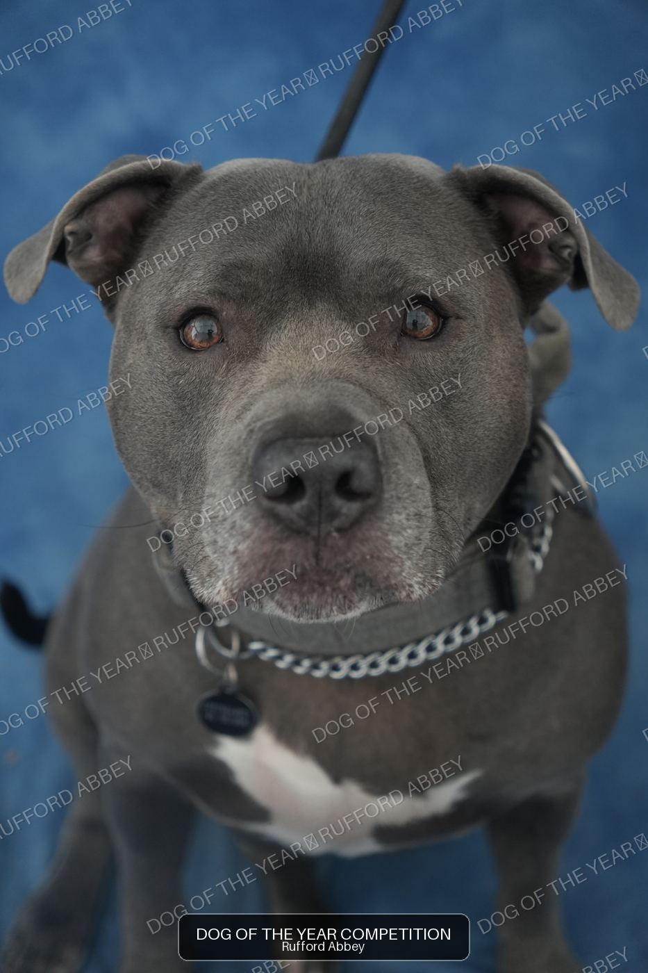 Gus