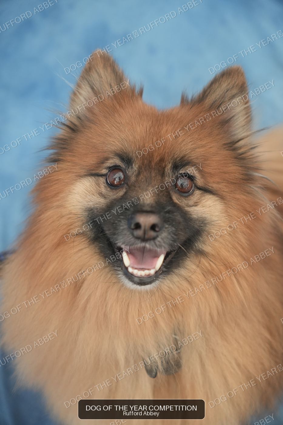 Axel
