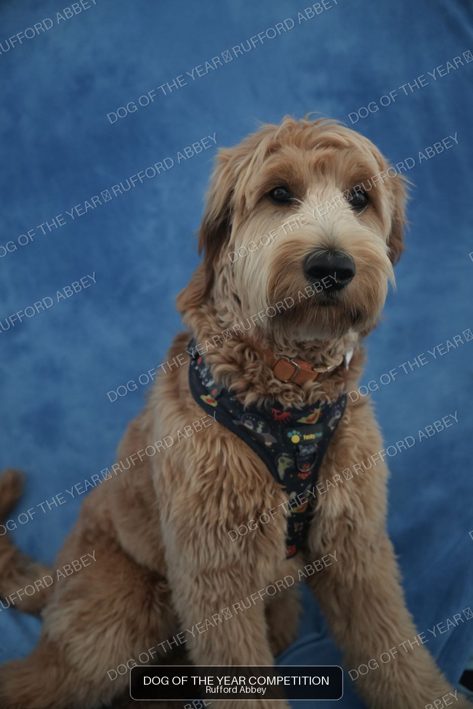 Max