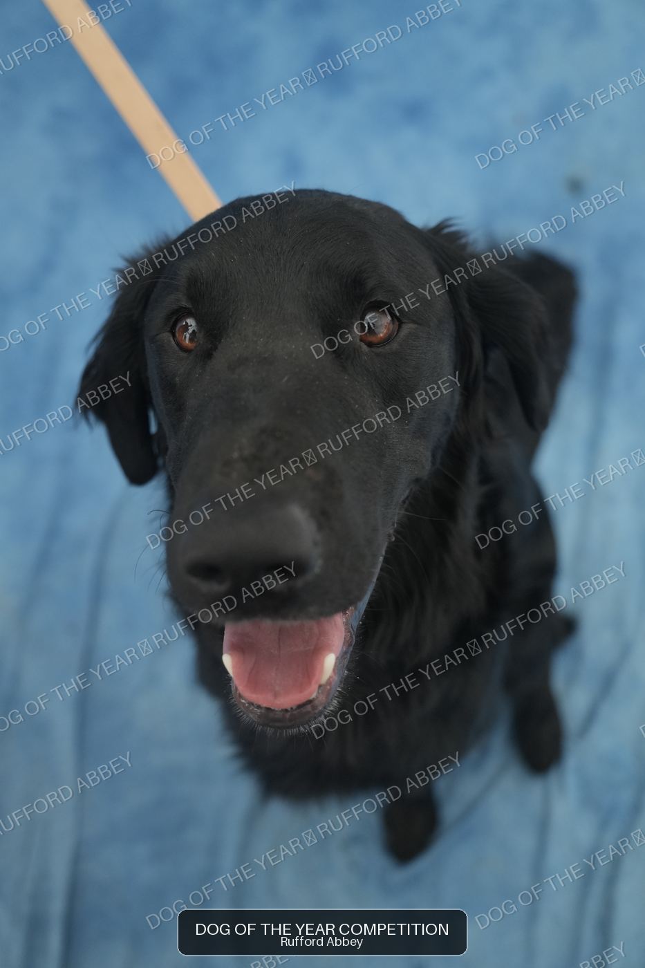 Obie