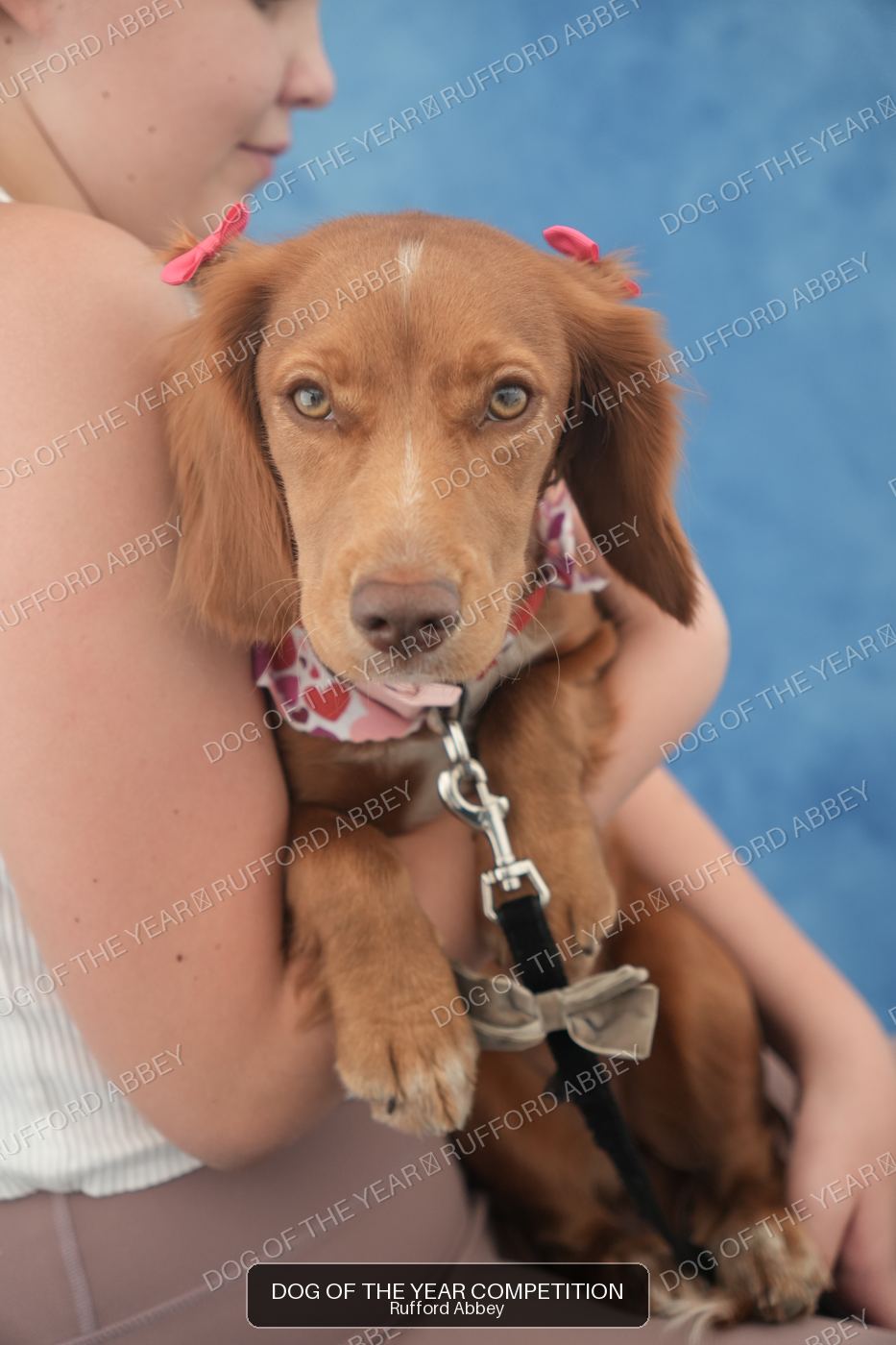 Hazel