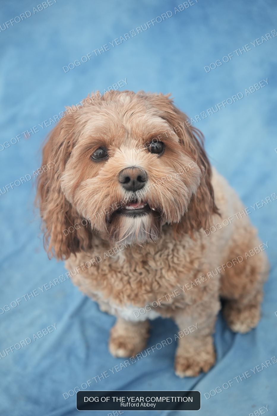 Rupert