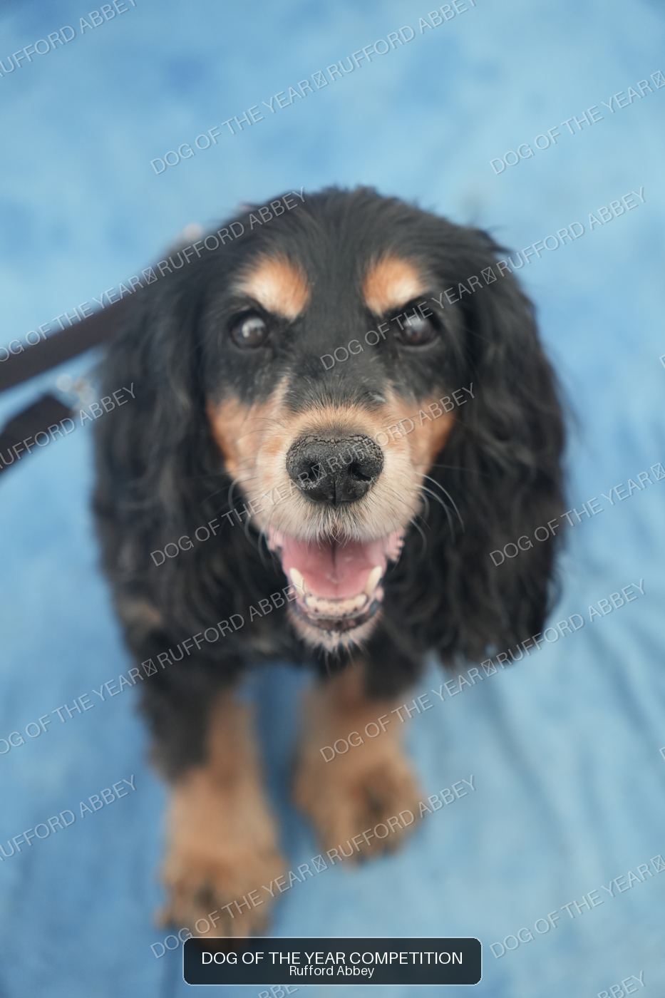 nora