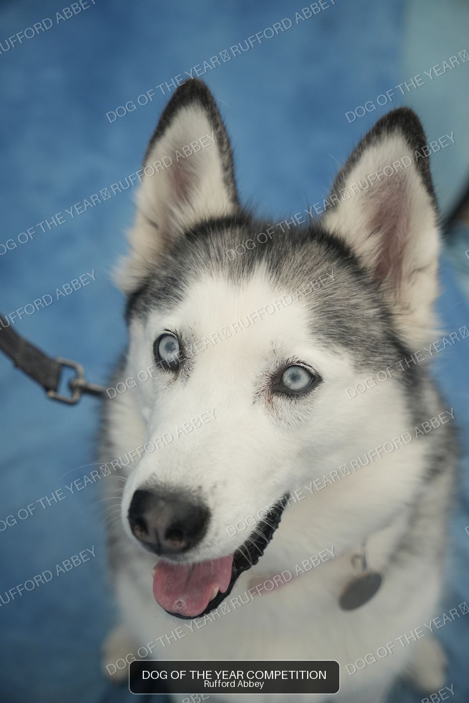 Dakota